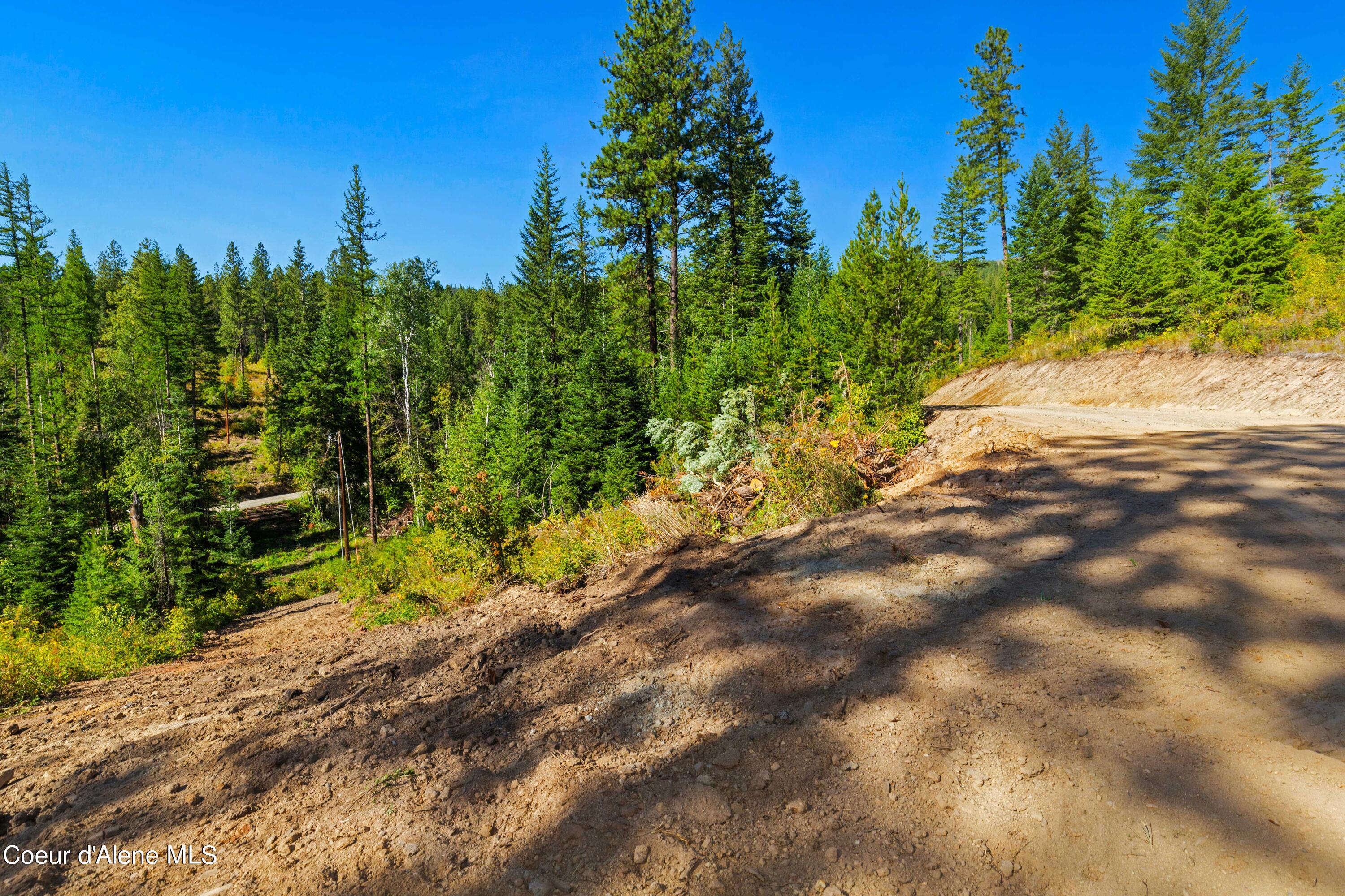 NNA Stone Rd Lot 2, Blanchard, Idaho image 6