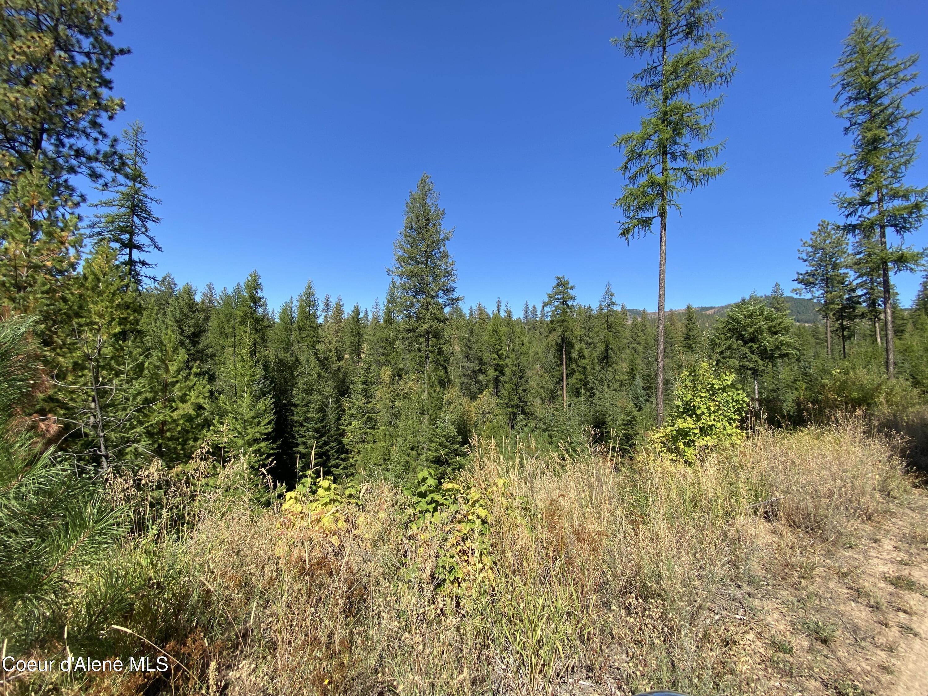 NNA Stone Rd Lot 2, Blanchard, Idaho image 8