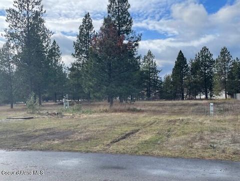 Vacant Land For Sale - 29269 Old Highway 95<br/> Athol, ID 83801