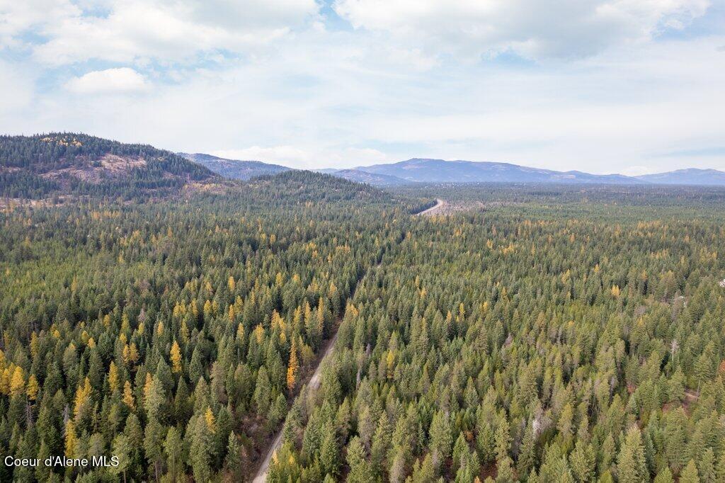 LOT4BLK1 N Peak Road, Spirit Lake, Idaho image 4