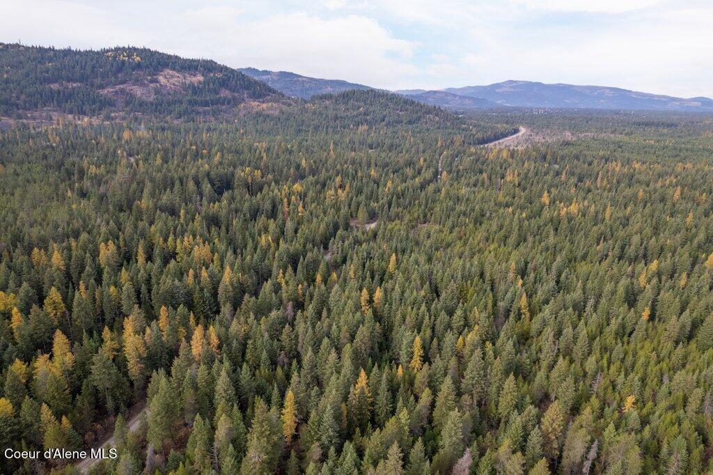 LOT4BLK1 N Peak Road, Spirit Lake, Idaho image 9