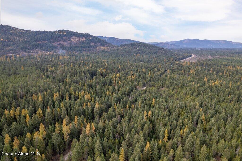 LOT4BLK1 N Peak Road, Spirit Lake, Idaho image 16