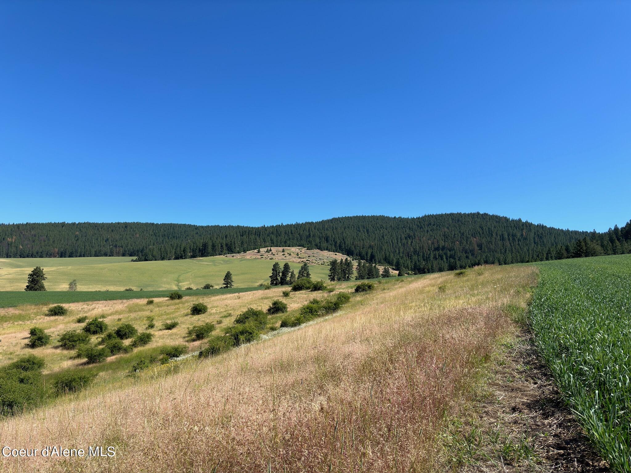 2000 Pine Creek, Desmet, Idaho image 13