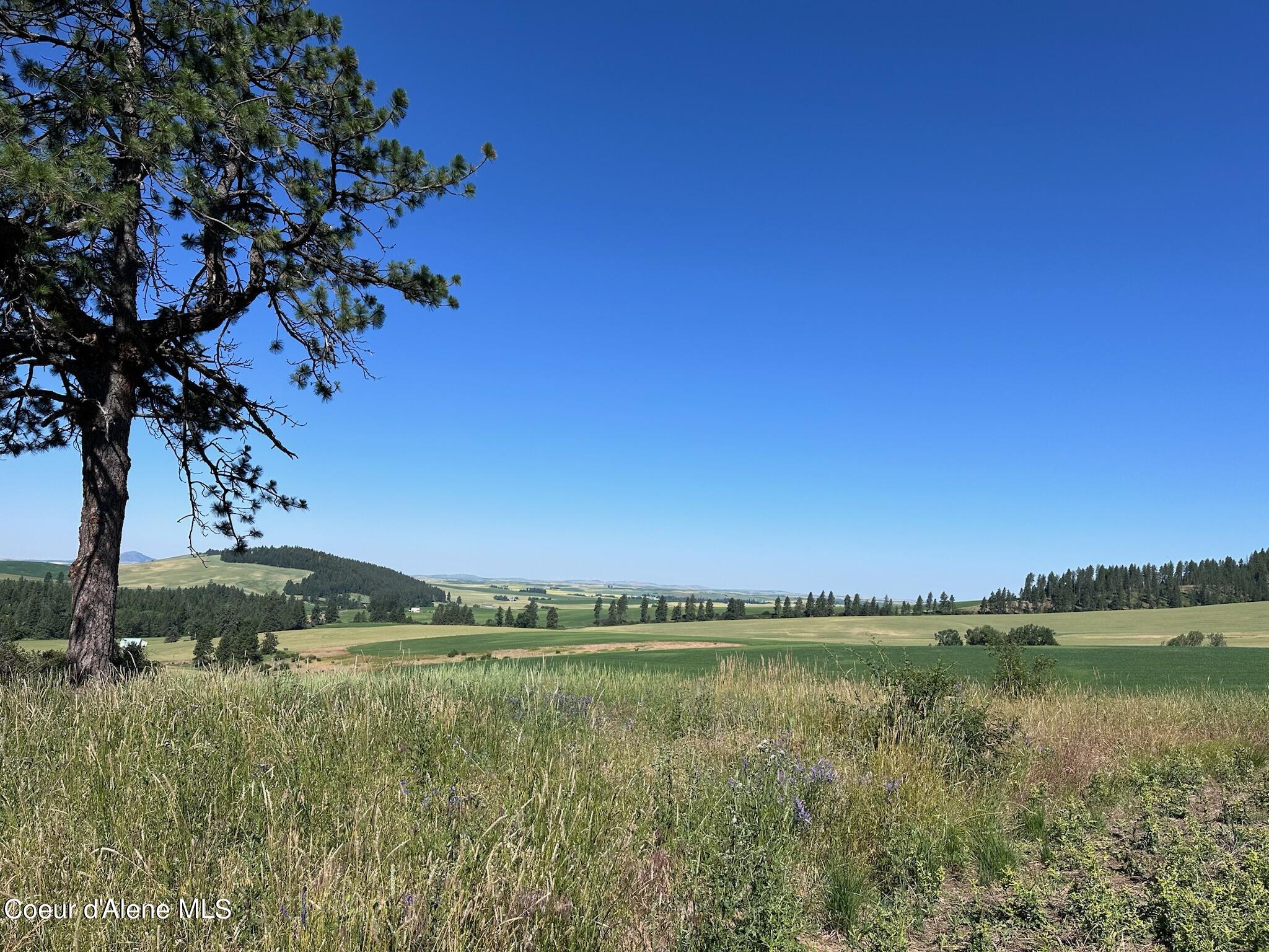 2000 Pine Creek, Desmet, Idaho image 1