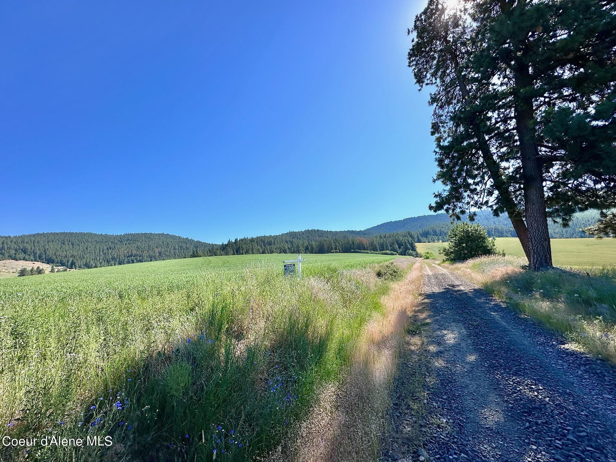 2000 Pine Creek, Desmet, Idaho image 3