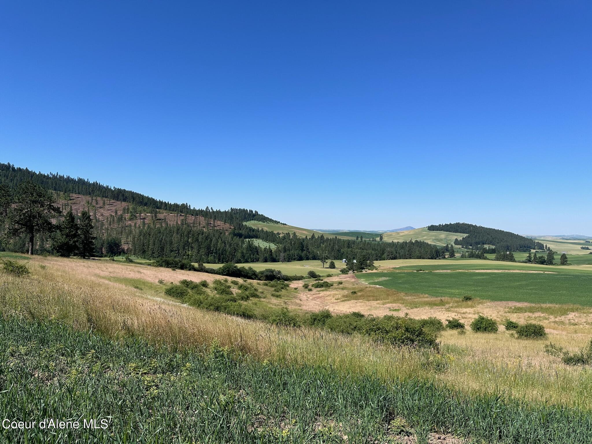 2000 Pine Creek, Desmet, Idaho image 11