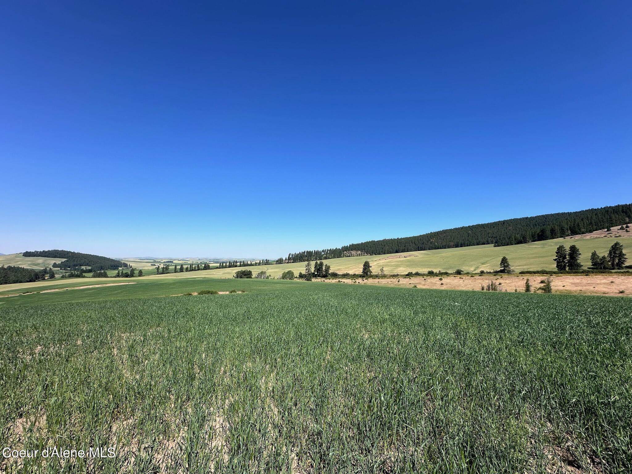 2000 Pine Creek, Desmet, Idaho image 8