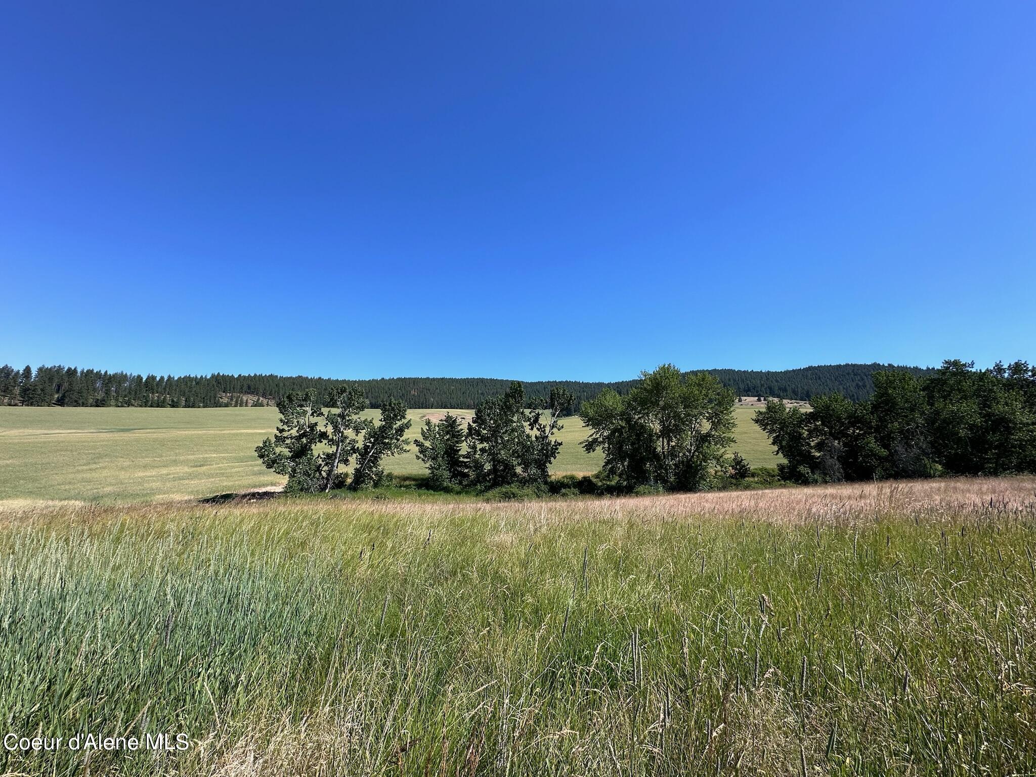 2000 Pine Creek, Desmet, Idaho image 16