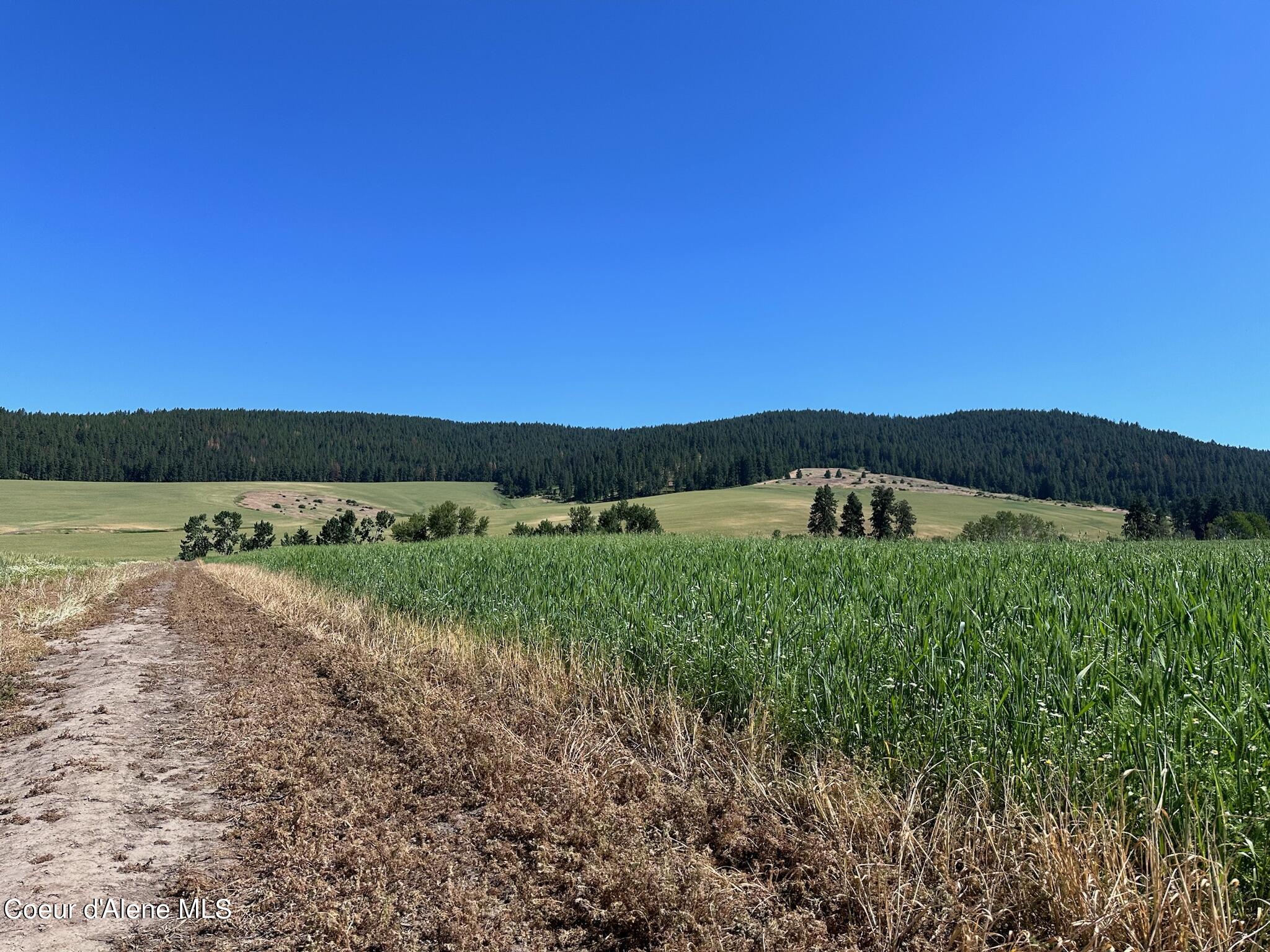 2000 Pine Creek, Desmet, Idaho image 14