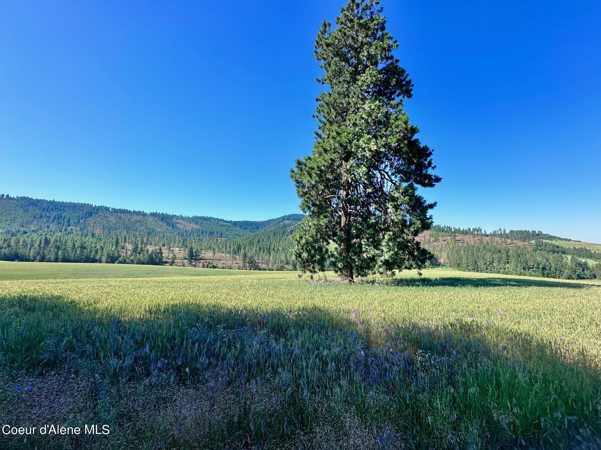 2000 Pine Creek, Desmet, Idaho image 4