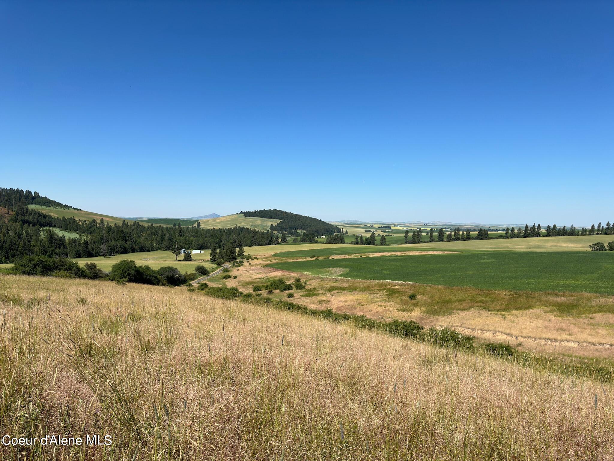 2000 Pine Creek, Desmet, Idaho image 12