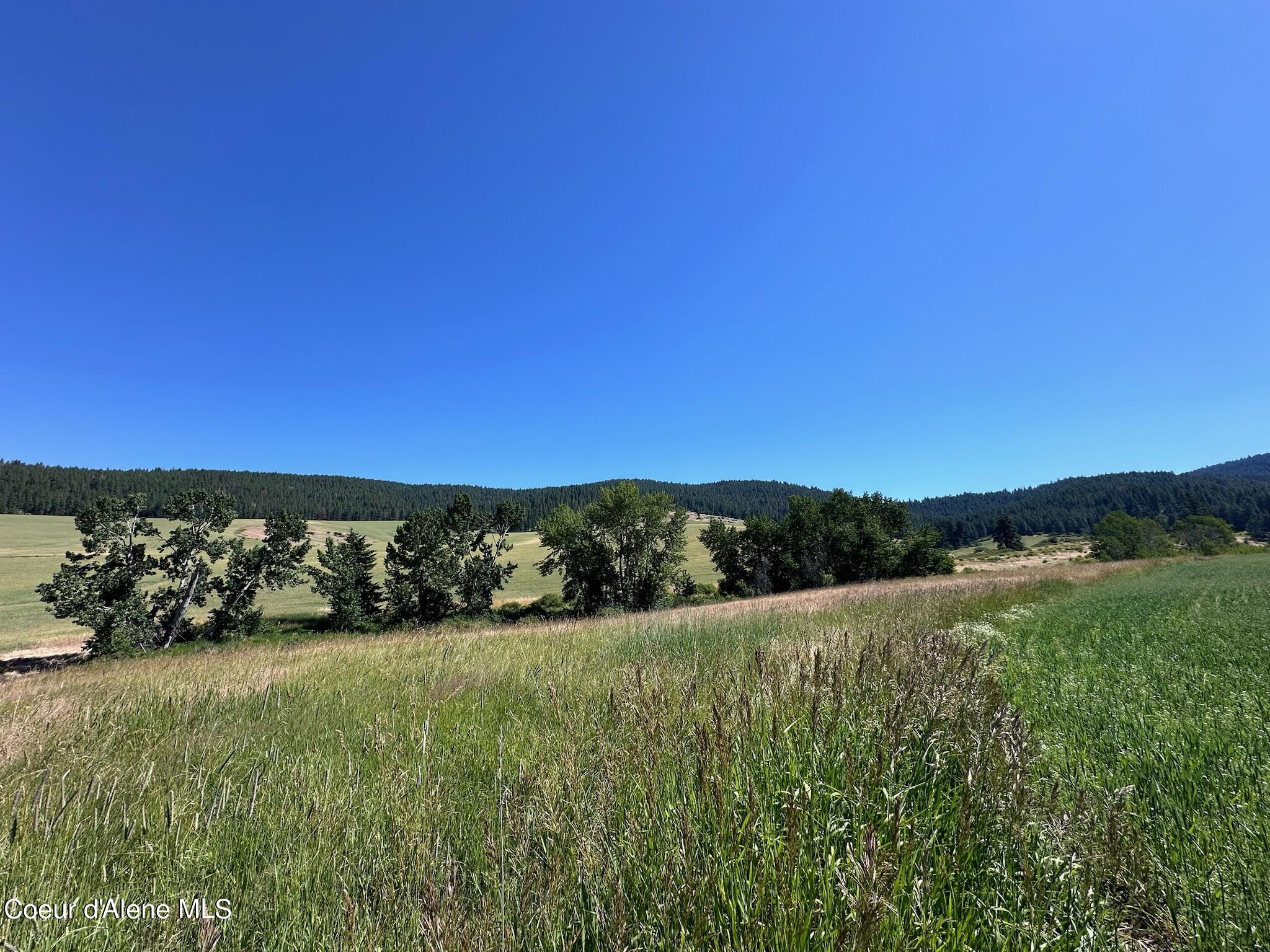 2000 Pine Creek, Desmet, Idaho image 17