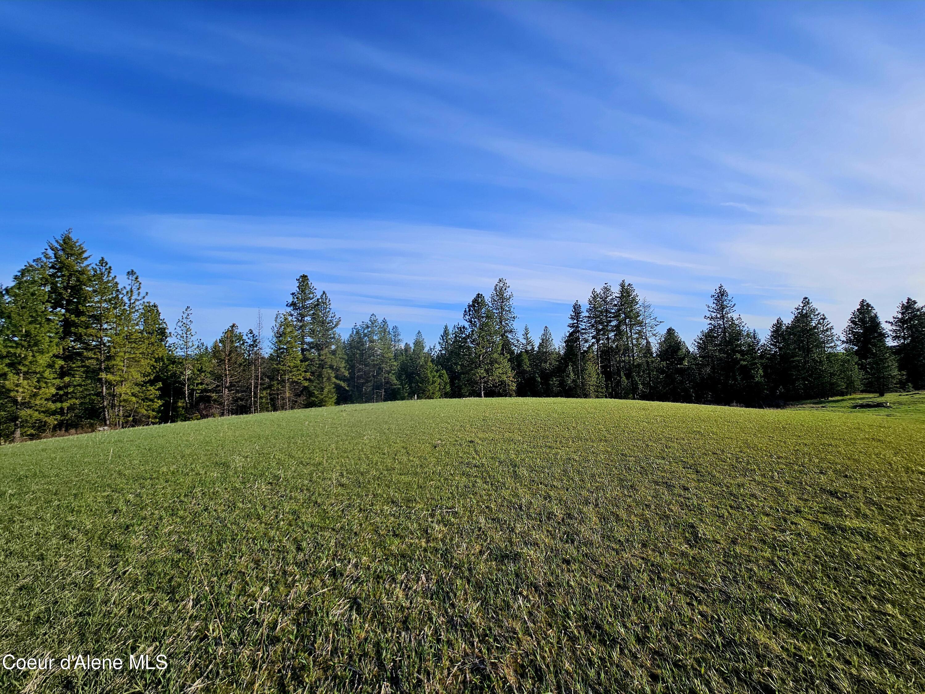 TBD Fern Hill Rd, Kendrick, Idaho image 3