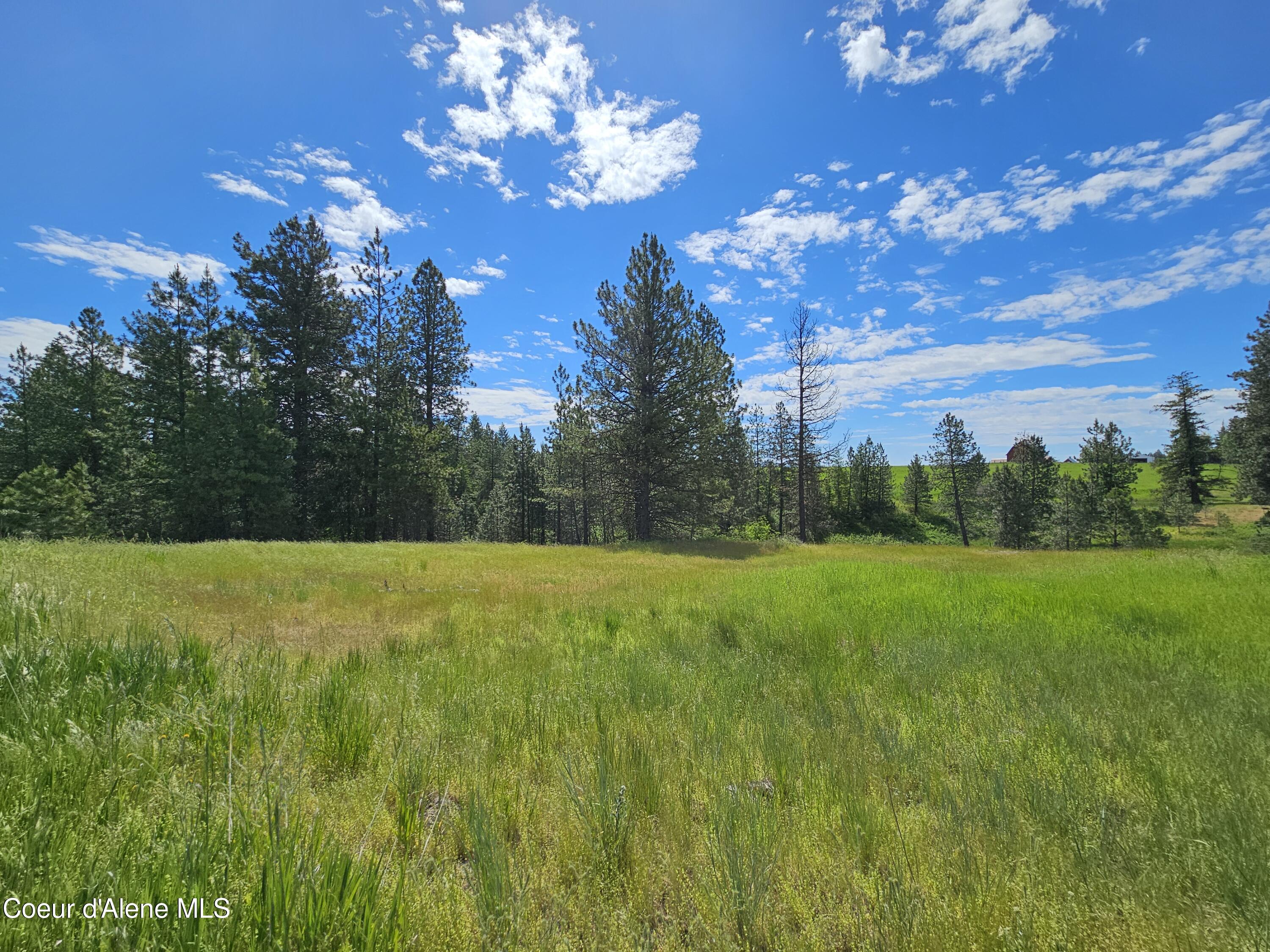 TBD Fern Hill Rd, Kendrick, Idaho image 8