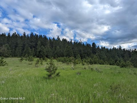 Vacant Land For Sale - 2614 Desmet Rd Rd<br/> Desmet, ID 83824