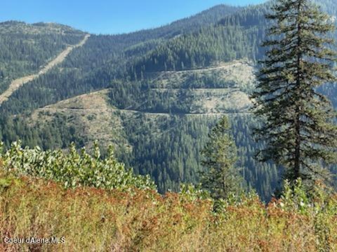 TBD Burke 34.38 Acres Road, Wallace, Idaho image 20