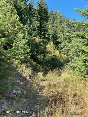 TBD Burke 34.38 Acres Road, Wallace, Idaho image 25