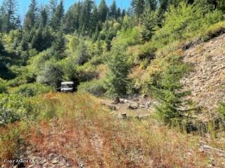 TBD Burke 34.38 Acres Road, Wallace, Idaho image 11