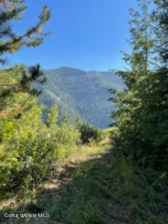 TBD Burke 34.38 Acres Road, Wallace, Idaho image 6