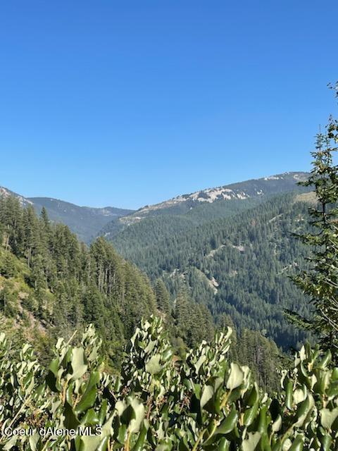 TBD Burke 34.38 Acres Road, Wallace, Idaho image 24