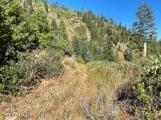 TBD Burke 34.38 Acres Road, Wallace, Idaho image 10