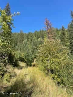 TBD Burke 34.38 Acres Road, Wallace, Idaho image 35