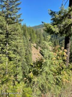 TBD Burke 34.38 Acres Road, Wallace, Idaho image 36