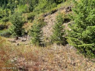 TBD Burke 34.38 Acres Road, Wallace, Idaho image 12