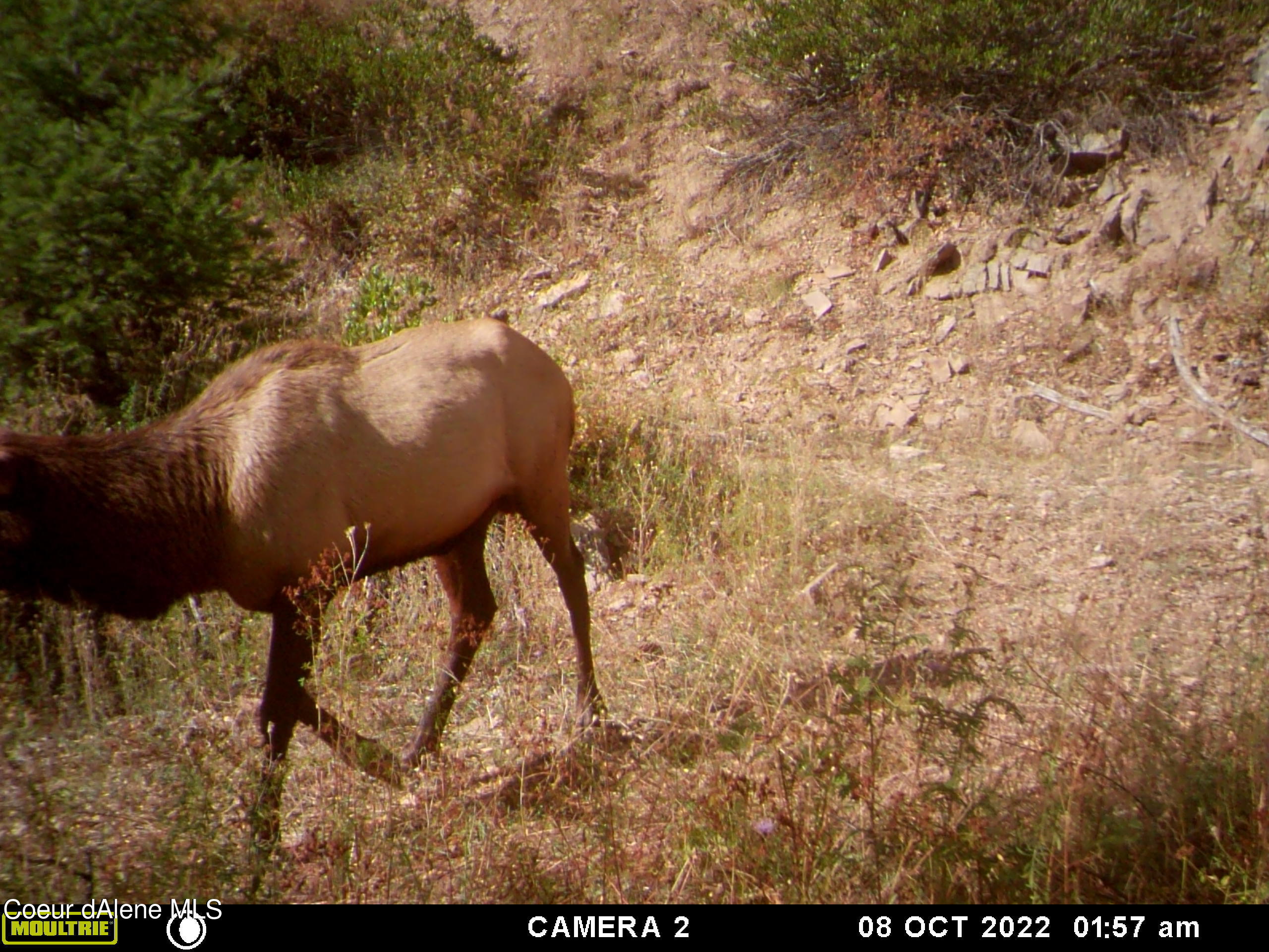 TBD Burke 34.38 Acres Road, Wallace, Idaho image 22