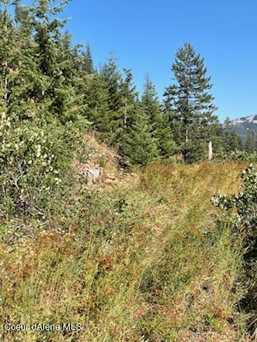 TBD Burke 34.38 Acres Road, Wallace, Idaho image 21