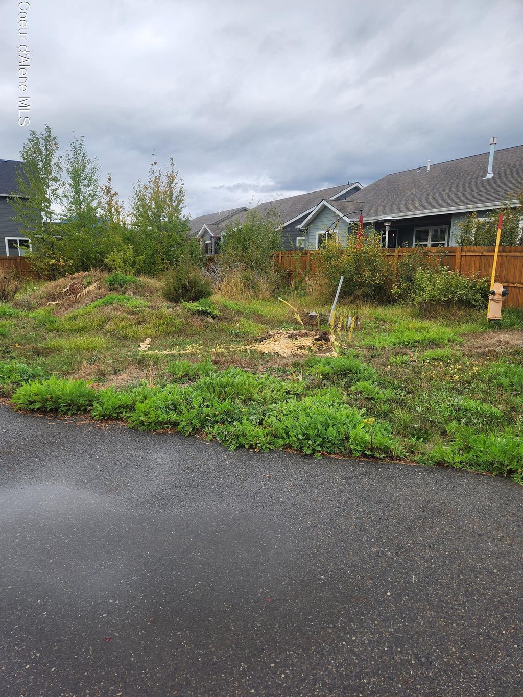 Photo of NNA Nicholas, Sandpoint, ID 83864 (MLS # 25-10029)