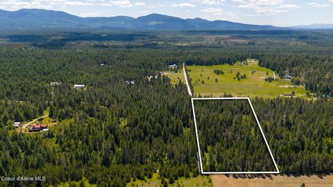 Vacant Land For Sale - NNA Trails End<br/> Athol, ID 83801