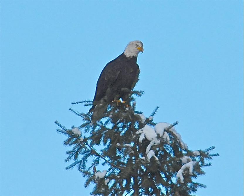 L2 B7 Kula Rd, Harrison, Idaho image 3