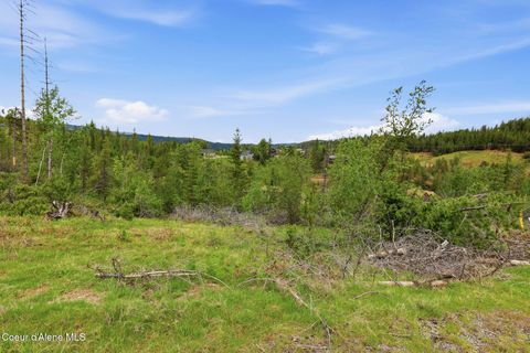 Vacant Land For Sale - 120 Blazing Saddle Ct<br/> Pinehurst, ID 83850