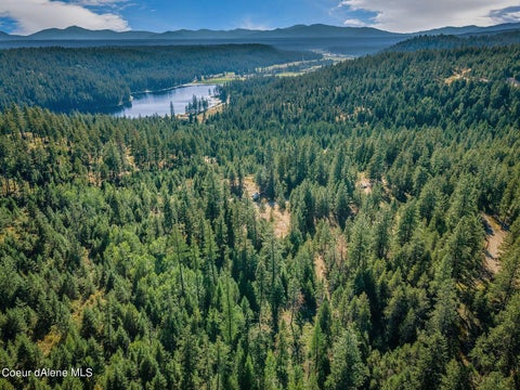 Vacant Land For Sale - L3 Smokewood<br/> Athol, ID 83801