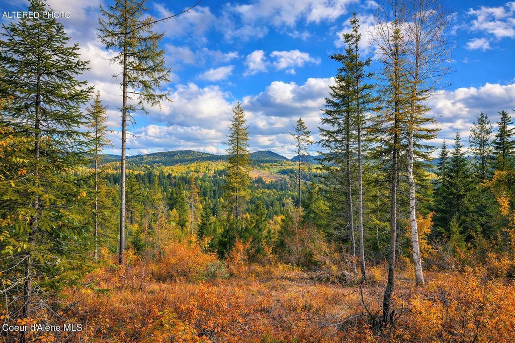 Photo of NKA 40-Ac Crosswhite Rd Rd, Careywood, ID 83809 (MLS # 26-3146)