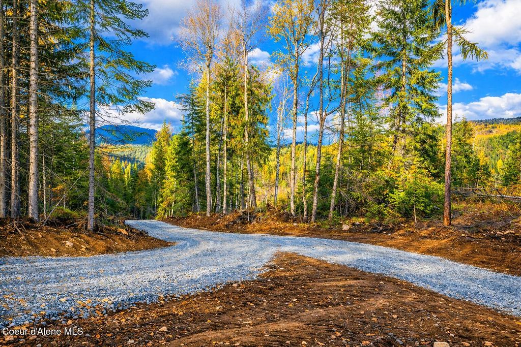 Photo of NKA 40-Ac Crosswhite Rd Rd, Careywood, ID 83809 (MLS # 26-3146)
