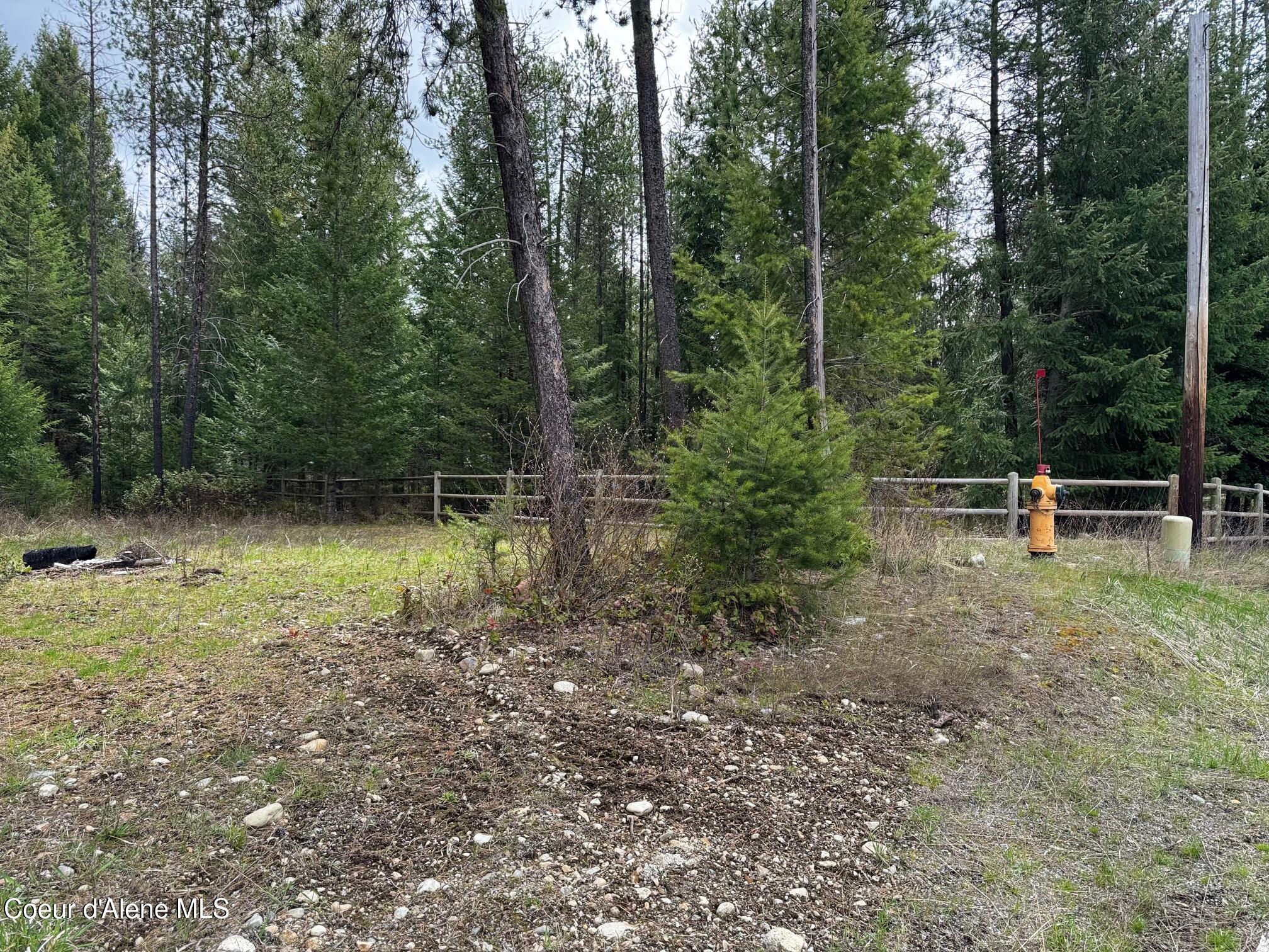NNA N Ramsey Trail, Rathdrum, Alaska image 3