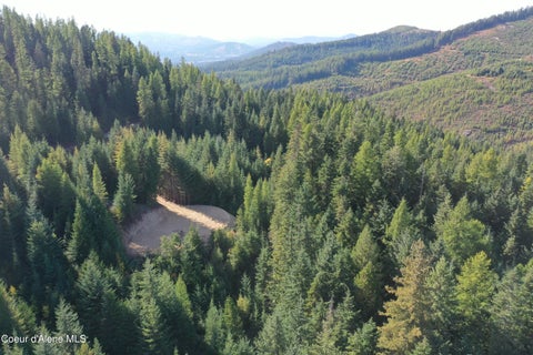 Vacant Land For Sale - 1802 Alpine Dr<br/> Fernwood, ID 83830