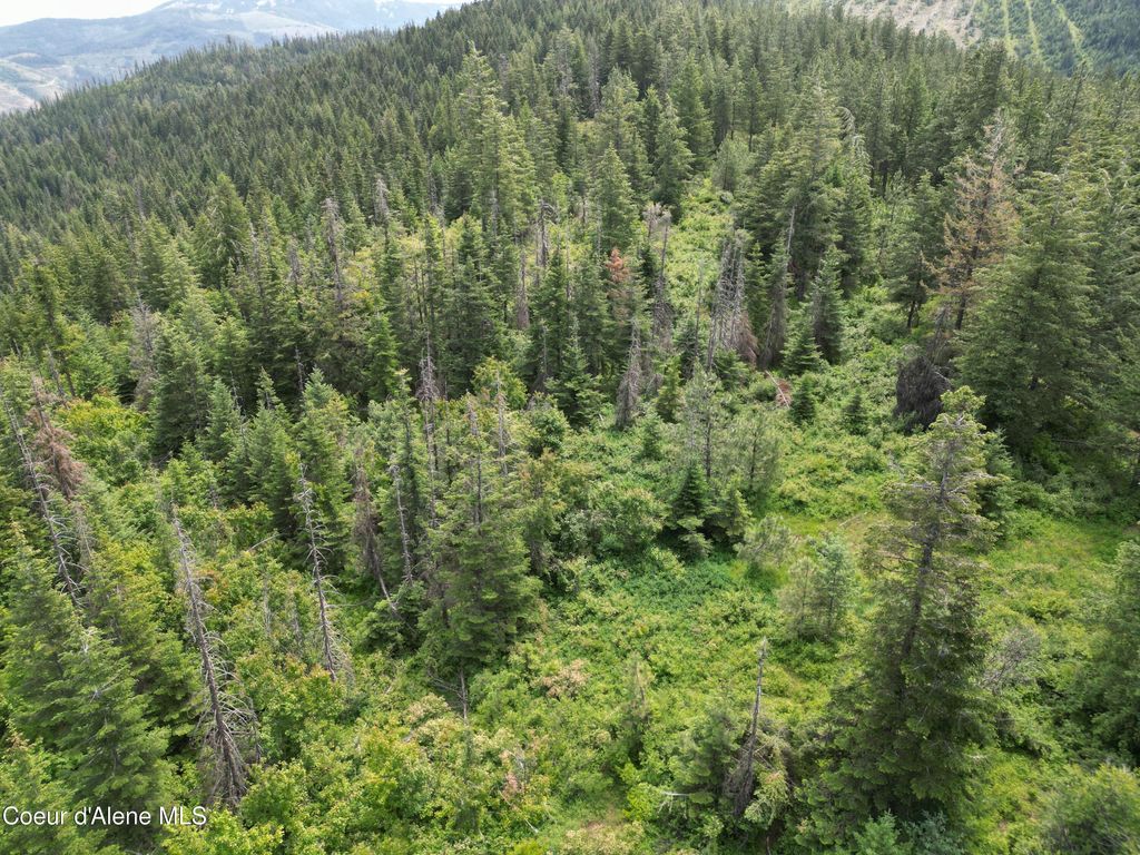 Photo of NKA INITIAL PEAK, Cataldo, ID 83810 (MLS # 26-3356)