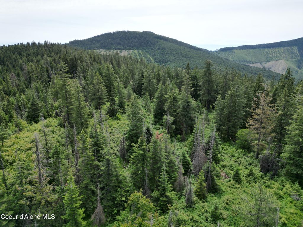 Photo of NKA INITIAL PEAK, Cataldo, ID 83810 (MLS # 26-3356)