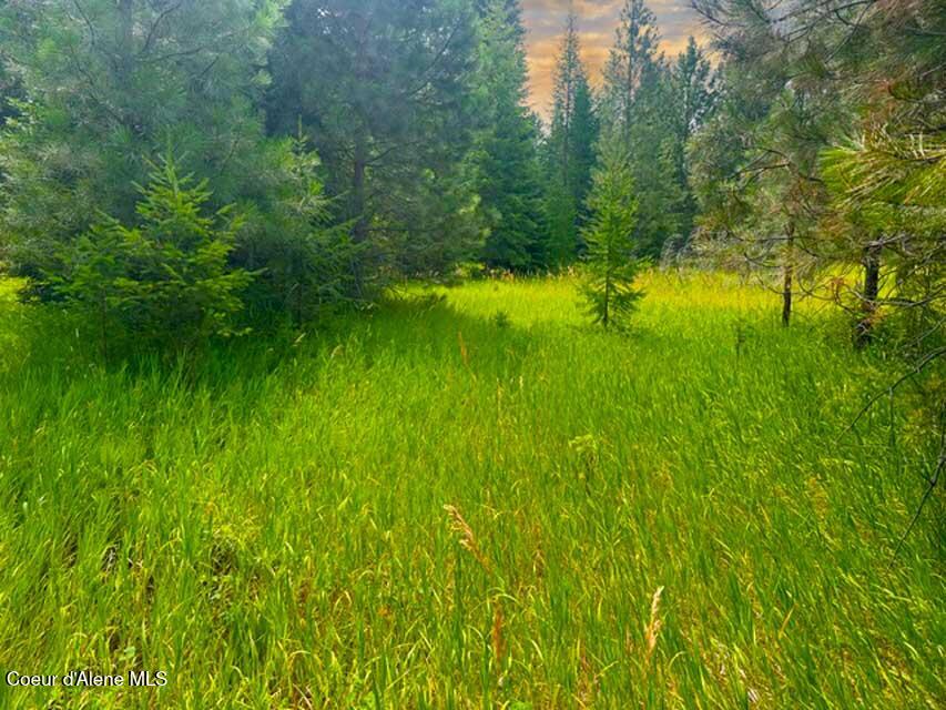 Photo of NNA Ginger, Bonners Ferry, ID 83805 (MLS # 26-7552)