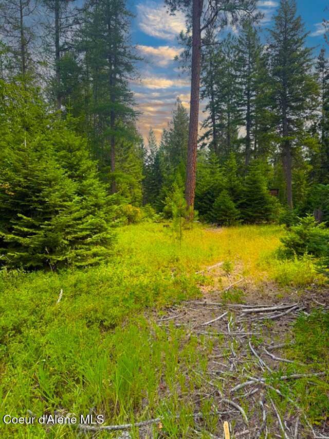 Photo of NNA Ginger, Bonners Ferry, ID 83805 (MLS # 26-7552)