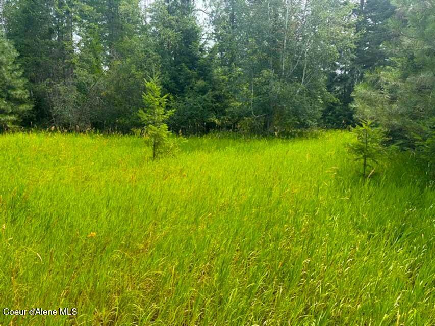 Photo of NNA Ginger, Bonners Ferry, ID 83805 (MLS # 26-7552)