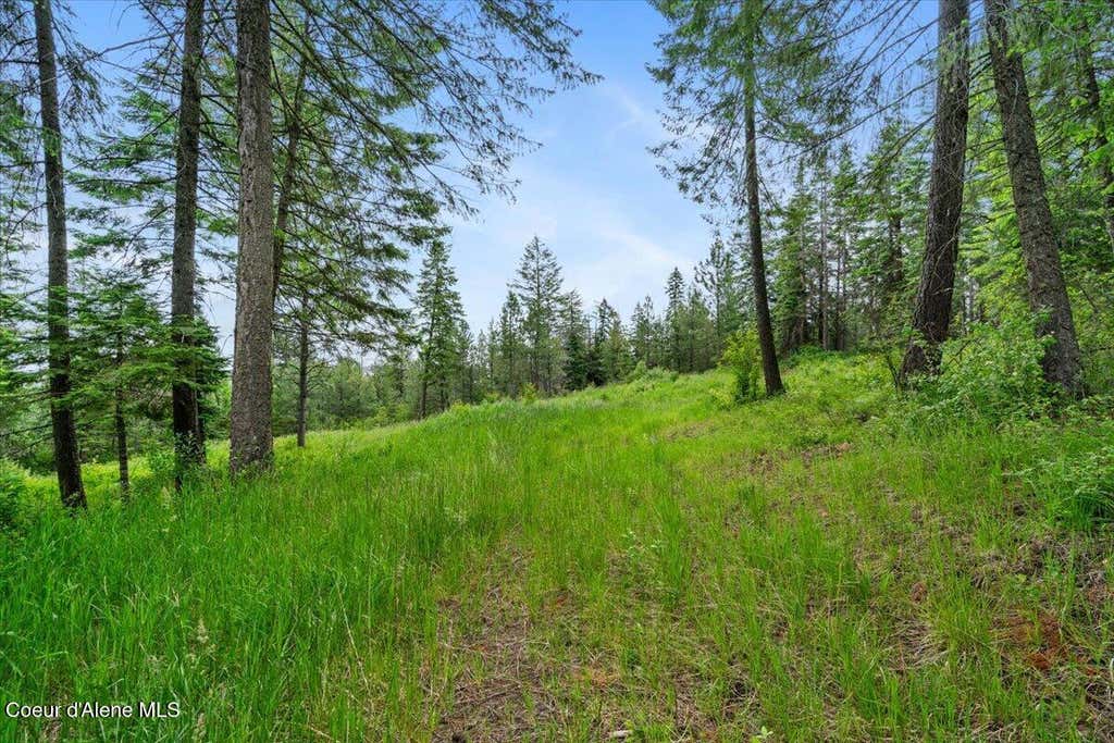Photo of 7728 Radford, Worley, ID 83876 (MLS # 26-4730)