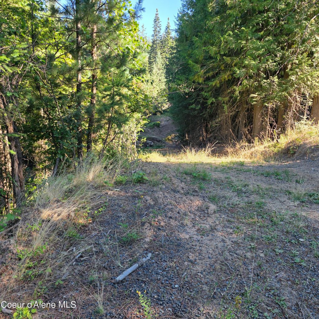 Photo of NKA Hells Gulch, St. Maries, ID 83861 (MLS # 26-2850)