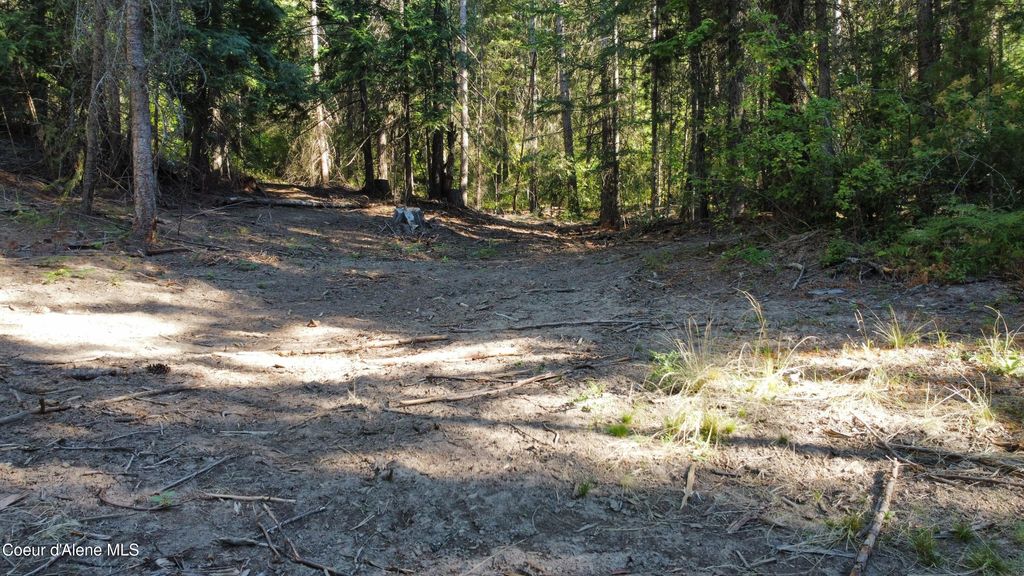 Photo of NKA Hells Gulch, St. Maries, ID 83861 (MLS # 26-2850)