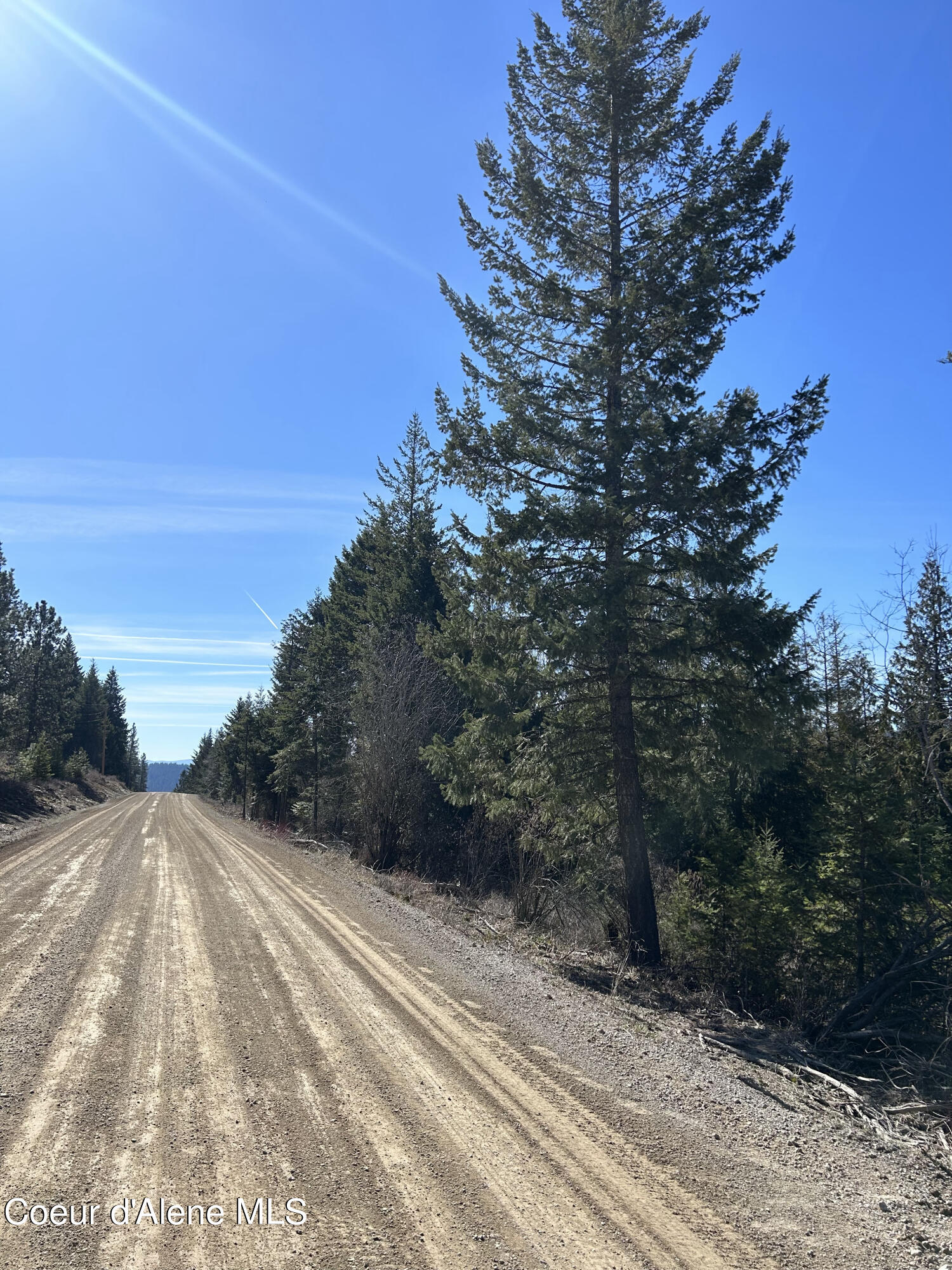 NNA Blacktail Rd, Cocolalla, Idaho image 13