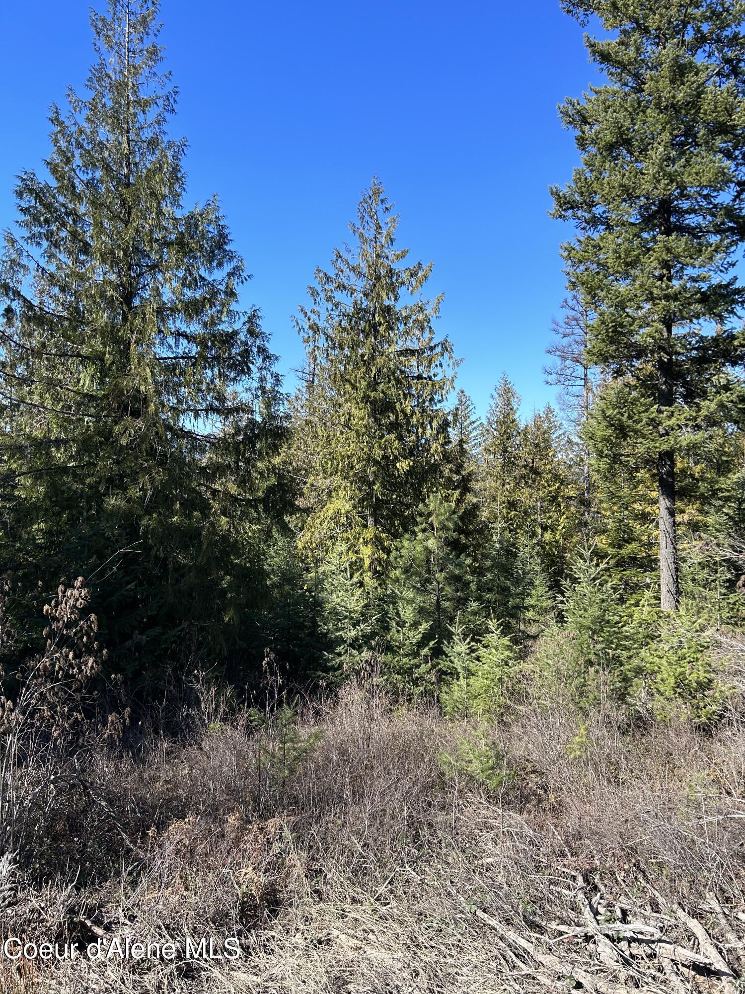 NNA Blacktail Rd, Cocolalla, Idaho image 1