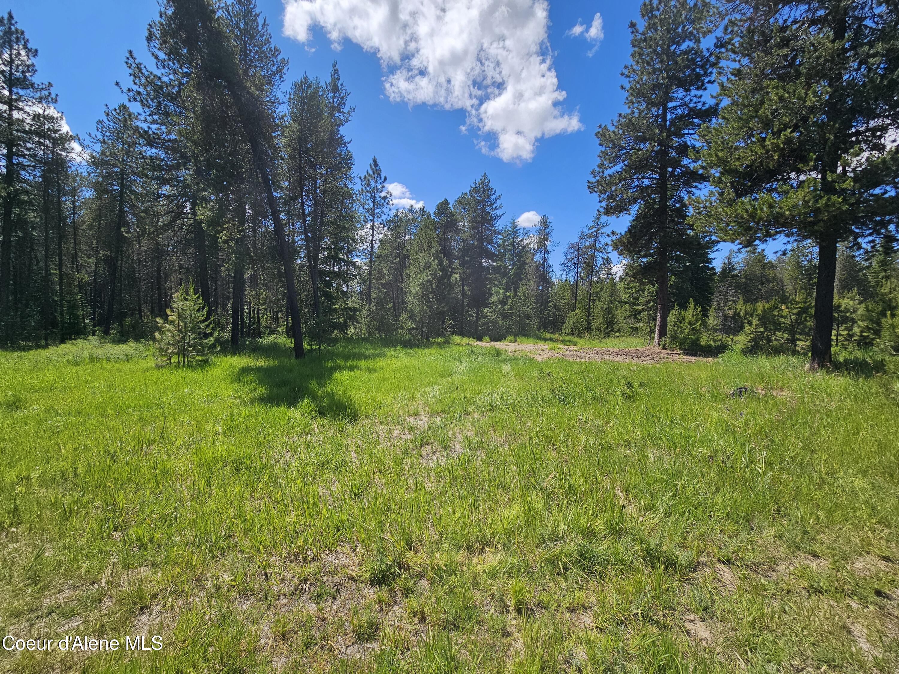 NKA E Parks Road, Athol, Idaho image 12